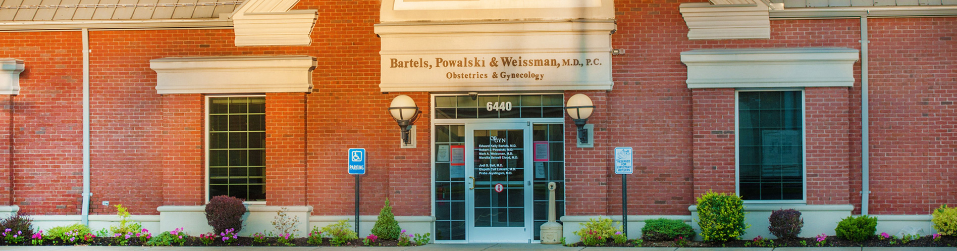 Services and Procedures